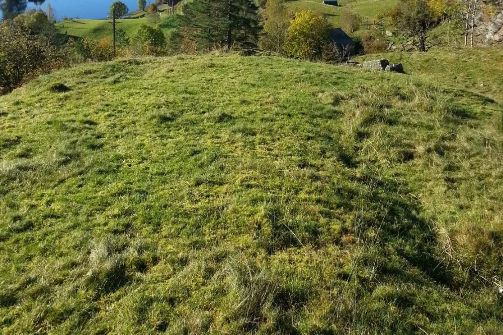 Camping Vassel Gård