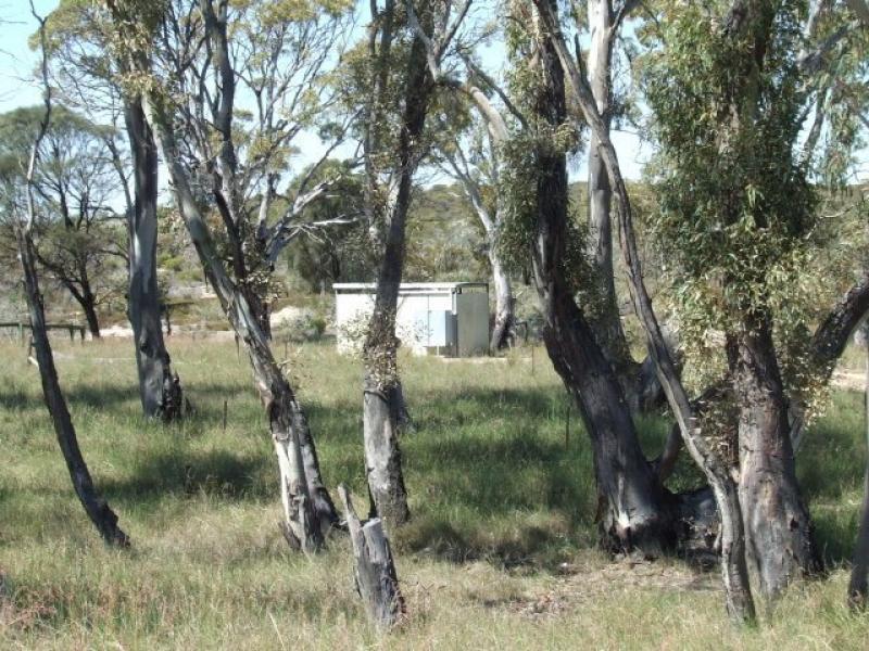 Baan Hill Picnic Area Campground photo 4