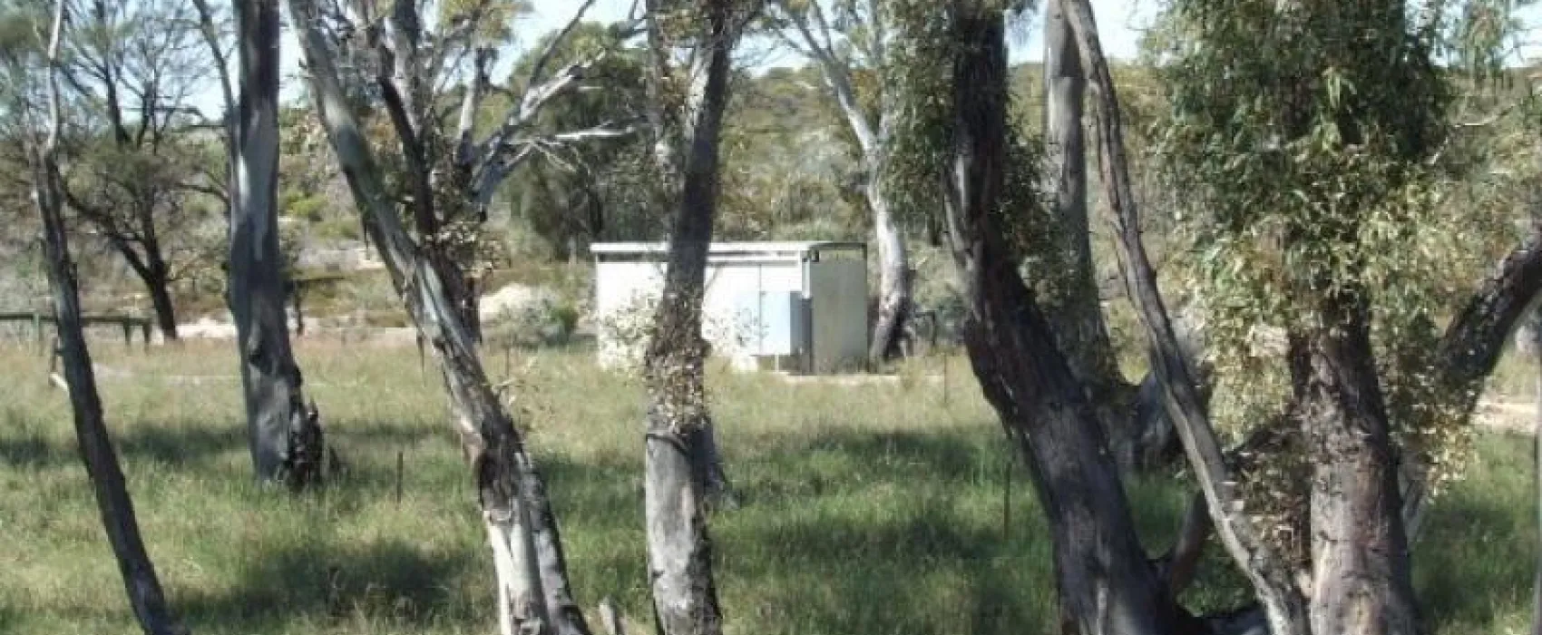Baan Hill Picnic Area Campground