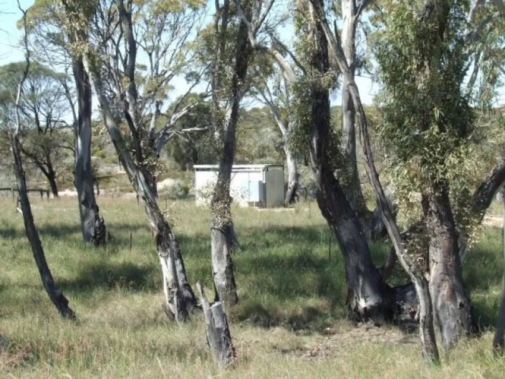 Baan Hill Picnic Area Campground