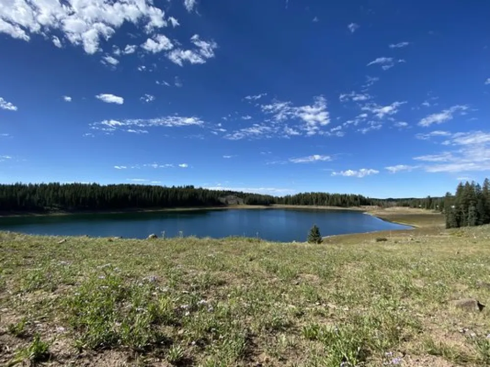 Ward Lake Campground