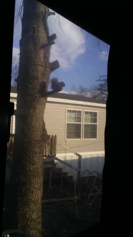 Sill's Family Campground