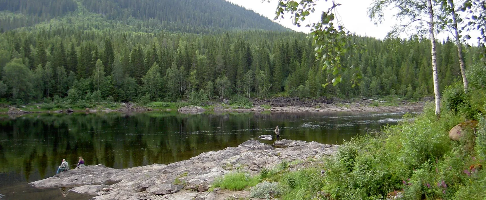 Brekkvasselv Camping