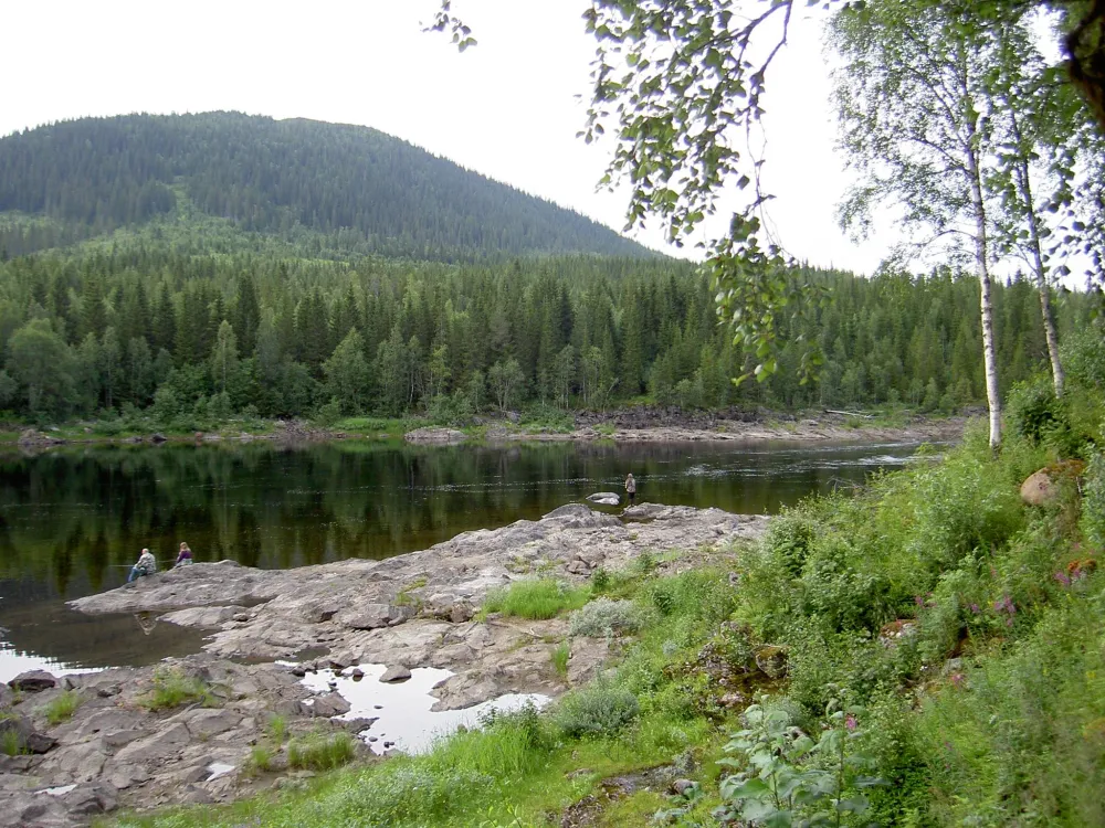 Brekkvasselv Camping