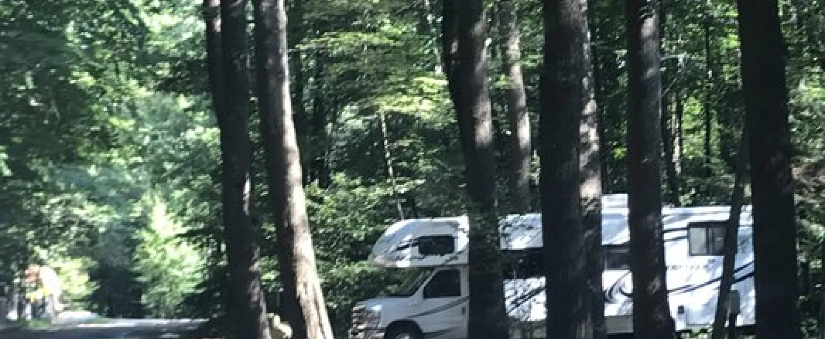 The Pines Campground