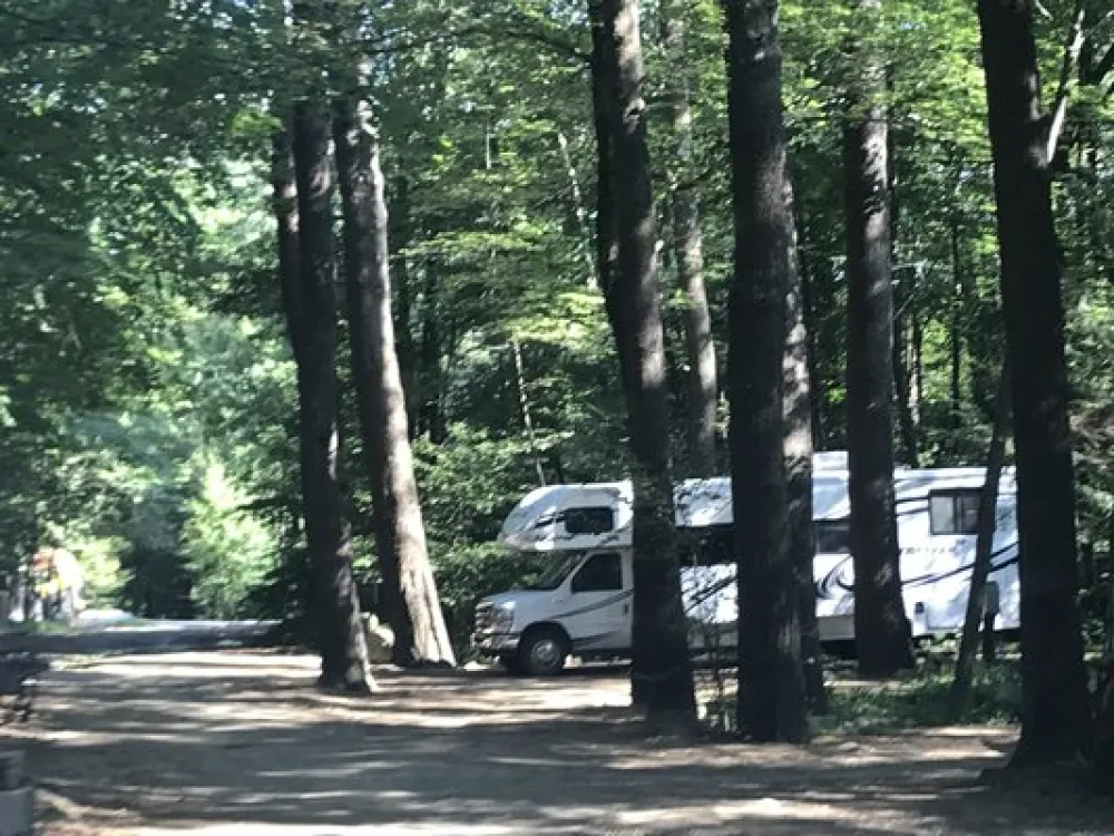 The Pines Campground