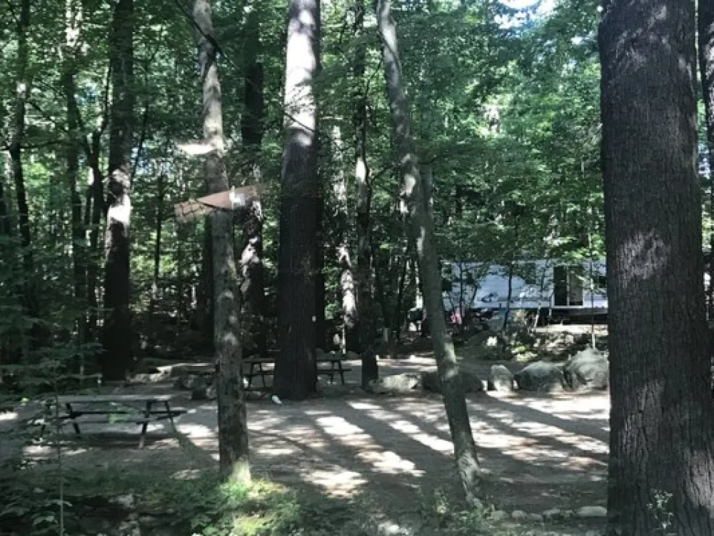The Pines Campground
