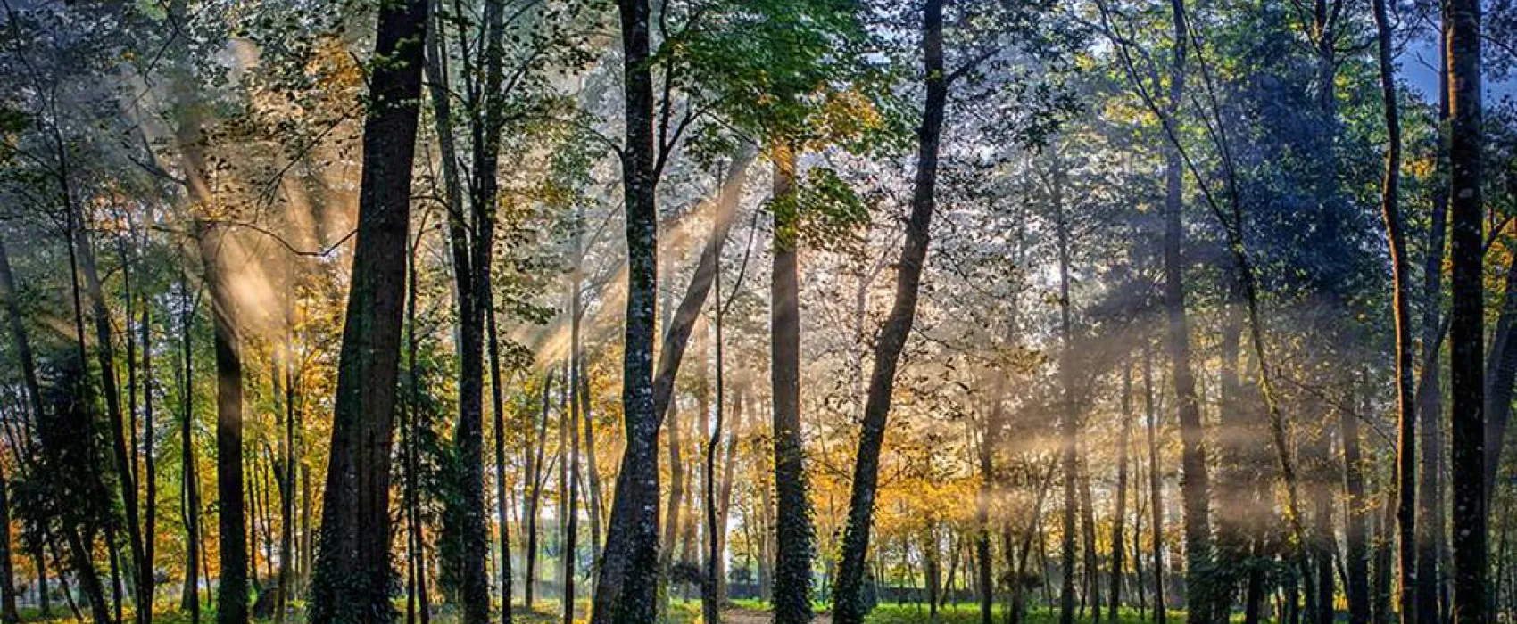 Parque de Campismo e Caravanismo Termas de Melgaço