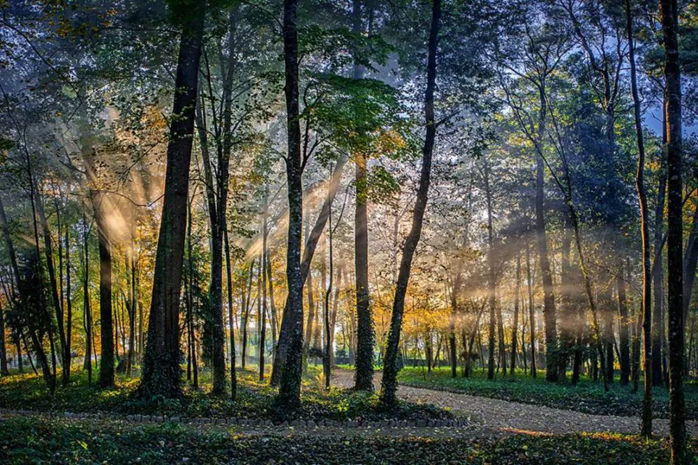 Parque de Campismo e Caravanismo Termas de Melgaço