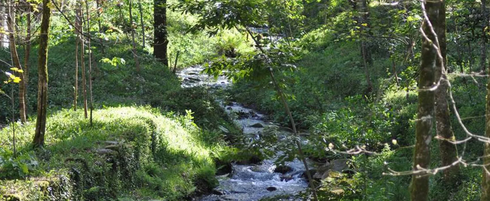 Parque de Campismo e Caravanismo Termas de Melgaço