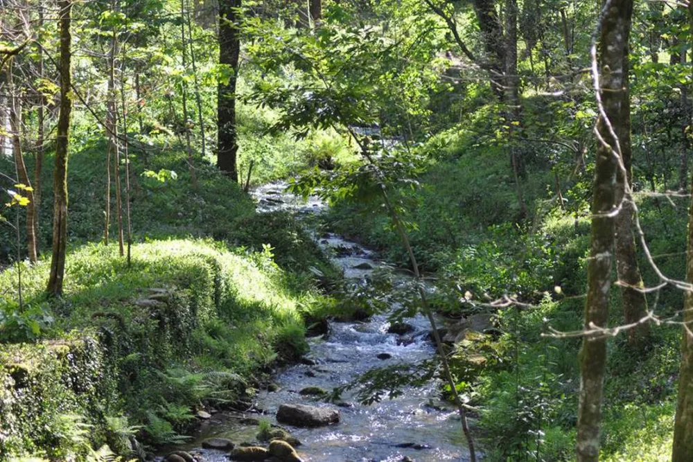 Parque de Campismo e Caravanismo Termas de Melgaço