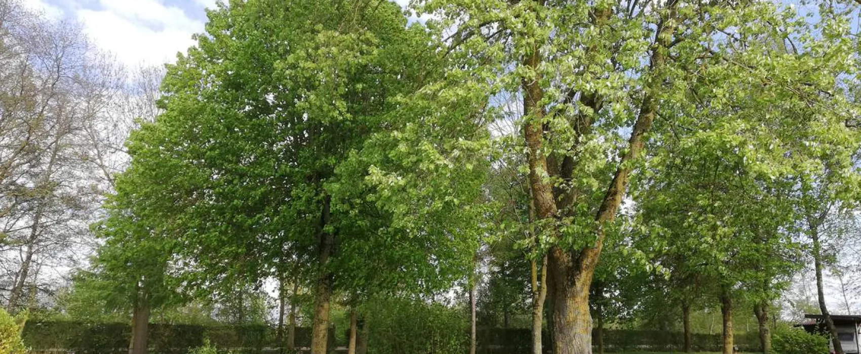 Goldberg-Camping Mörslingen