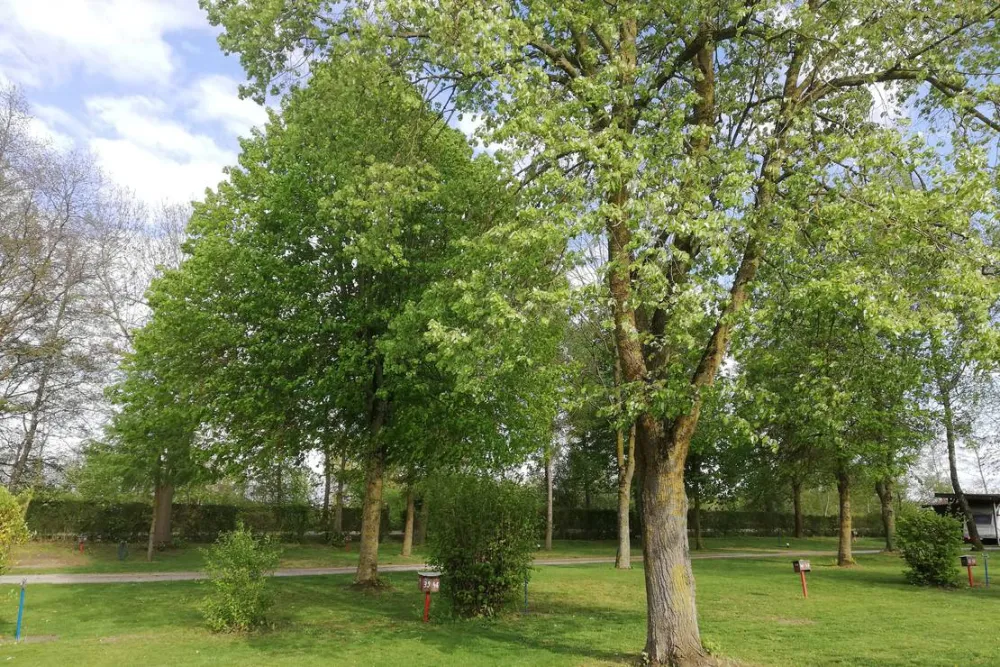 Goldberg-Camping Mörslingen