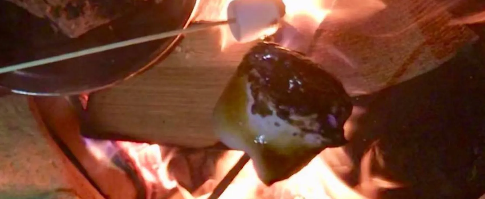 Tregroes Caravan, Camping and Glamping Park