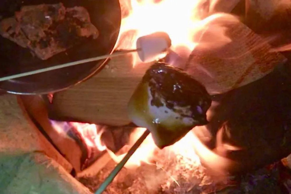 Tregroes Caravan, Camping and Glamping Park