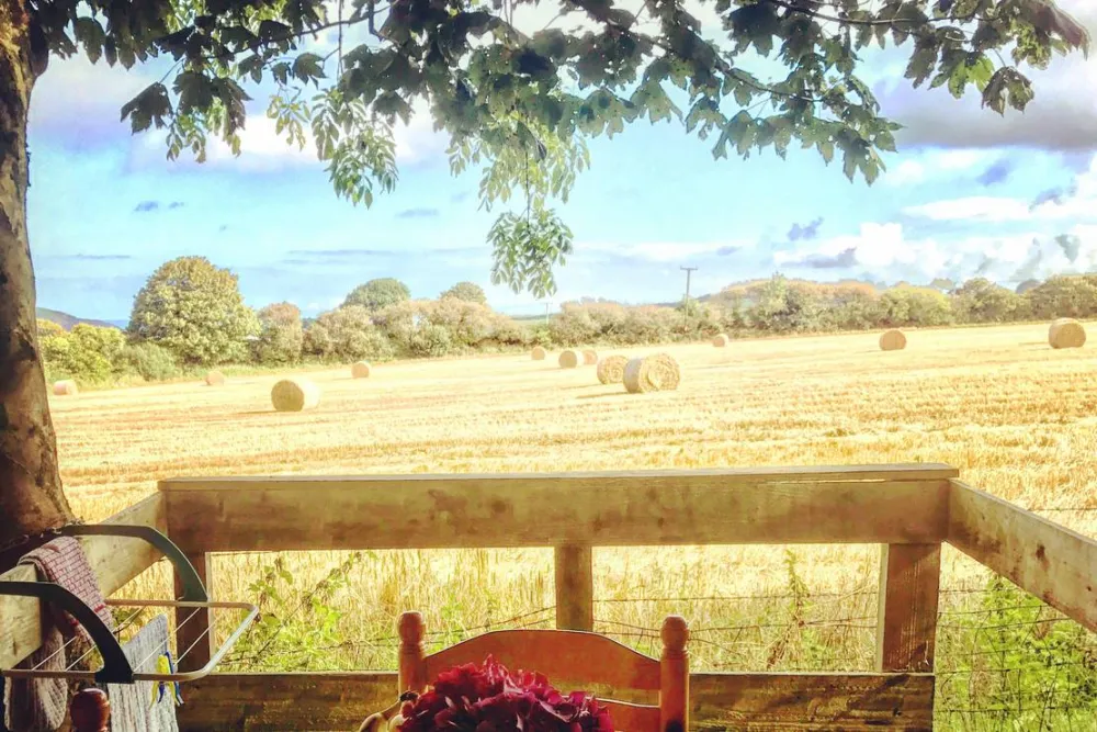 Tregroes Caravan, Camping and Glamping Park