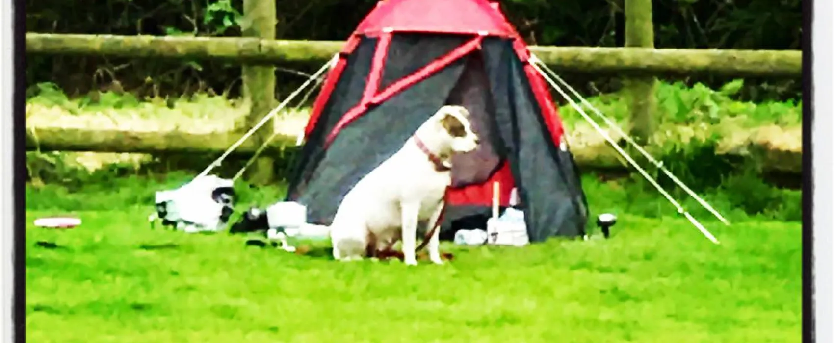 Tregroes Caravan, Camping and Glamping Park