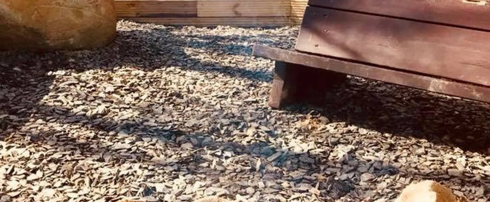 Tregroes Caravan, Camping and Glamping Park