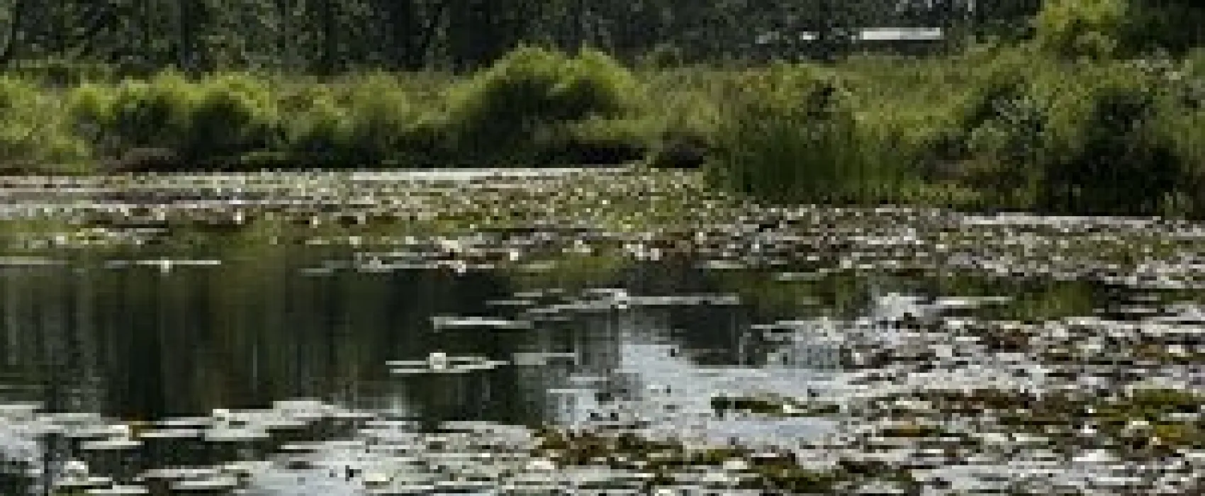 Camp Langston RV Resort