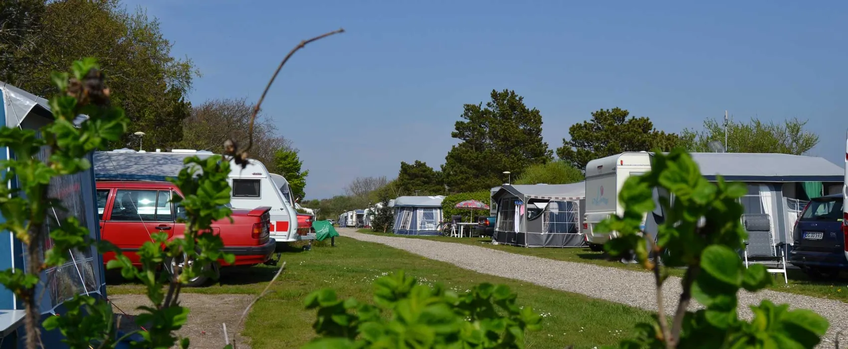 Krik Vig Camping