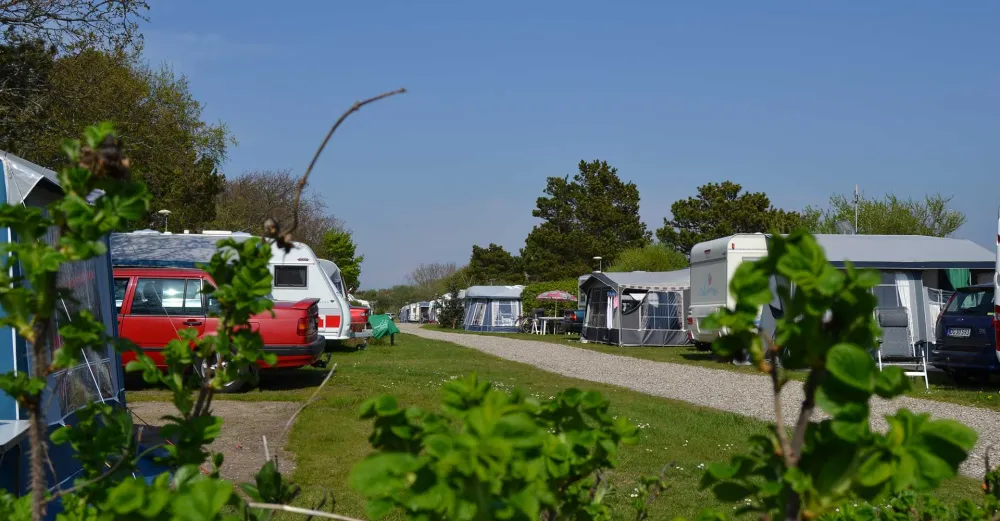 Krik Vig Camping