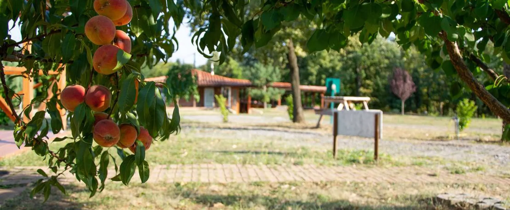 Camping Belgrade Avala