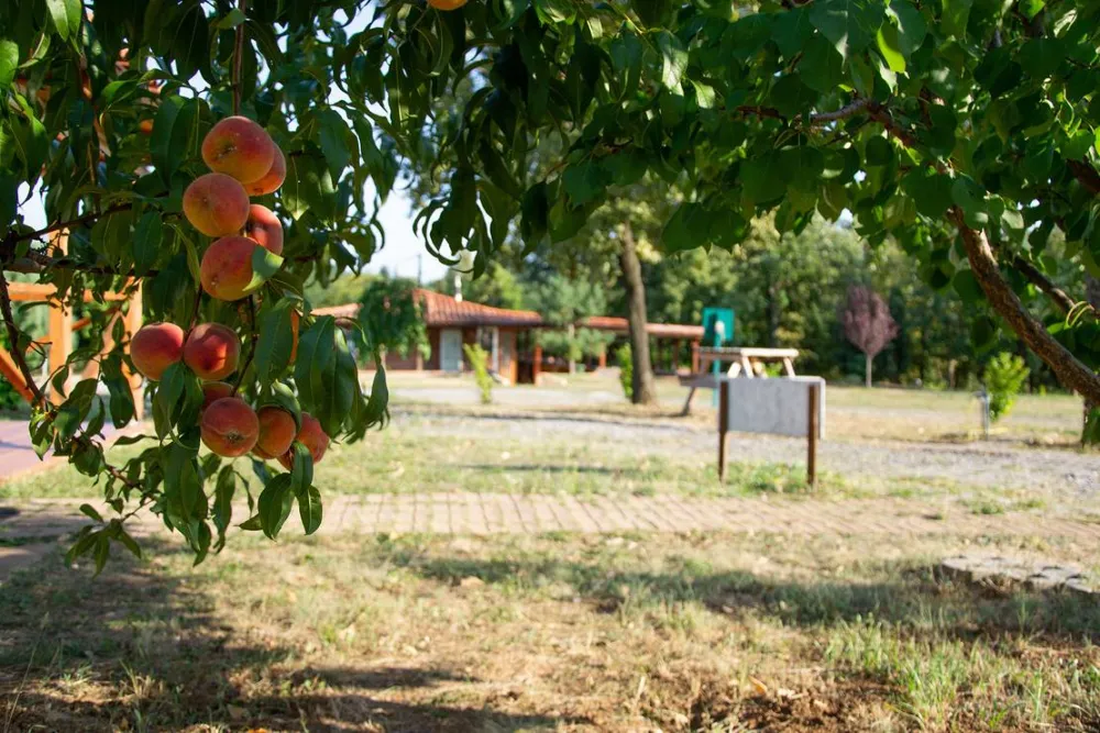 Camping Belgrade Avala