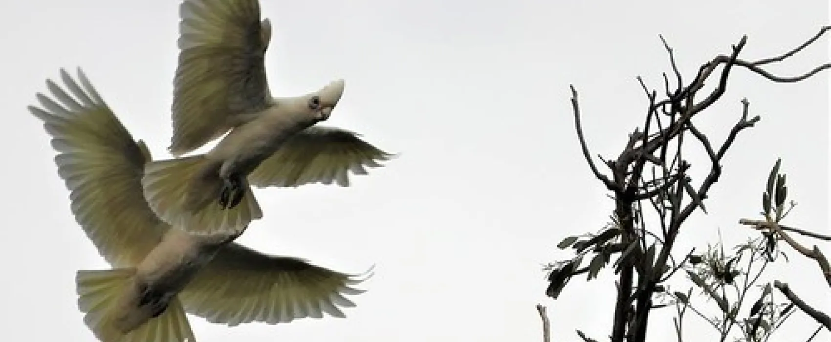 Ponto Falls Reserve Campground