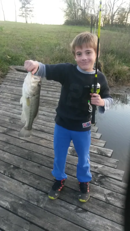 Buena Vista Farms, Inc - Campgrounds & Resort