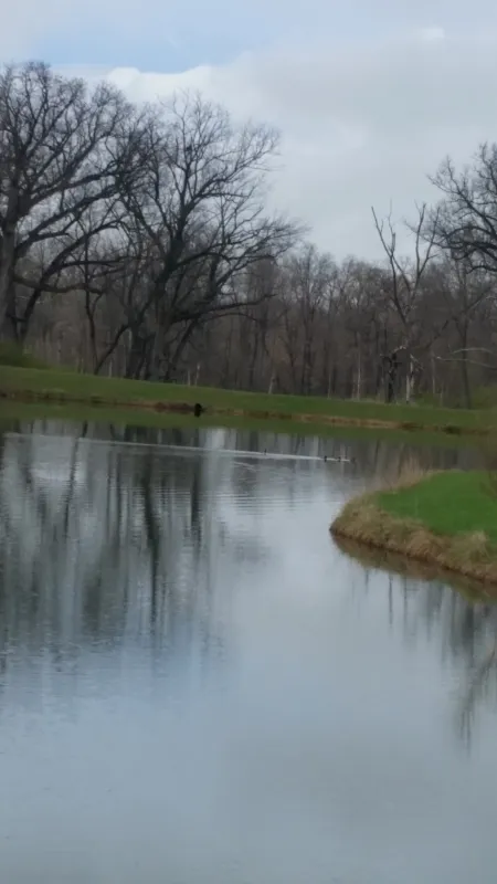 Buena Vista Farms, Inc - Campgrounds & Resort