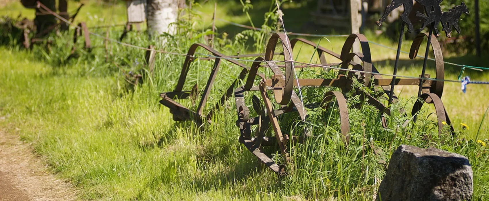 Hakunin hevos- ja kotieläintila