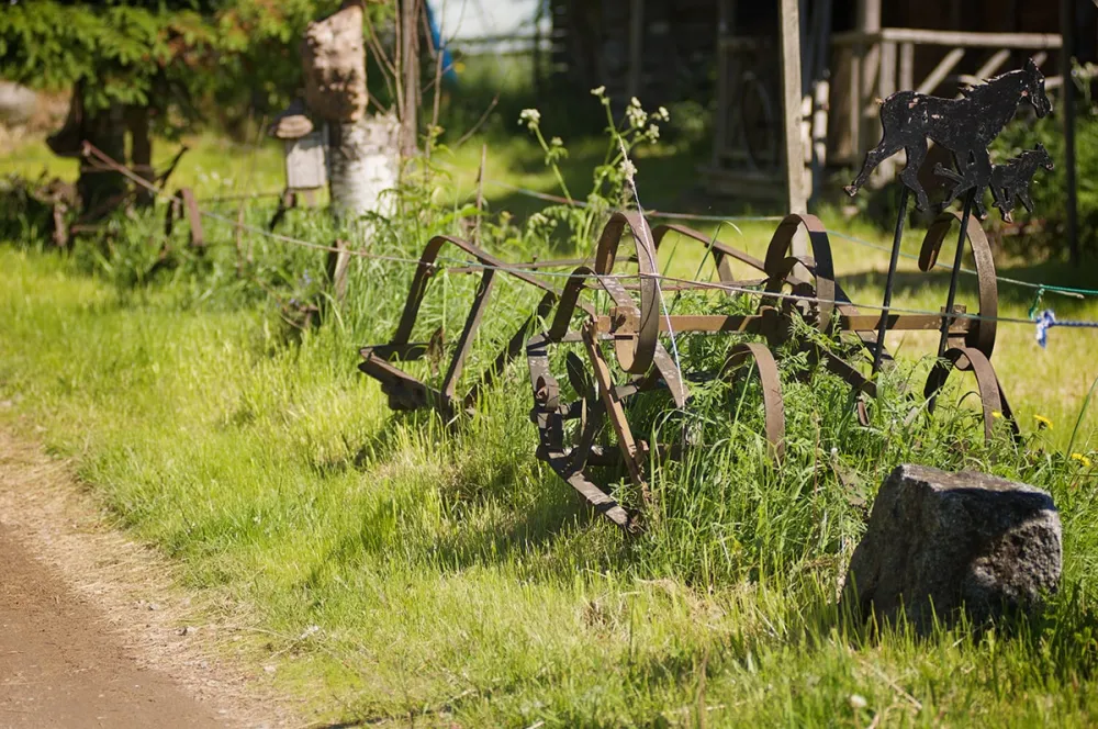 Hakunin hevos- ja kotieläintila