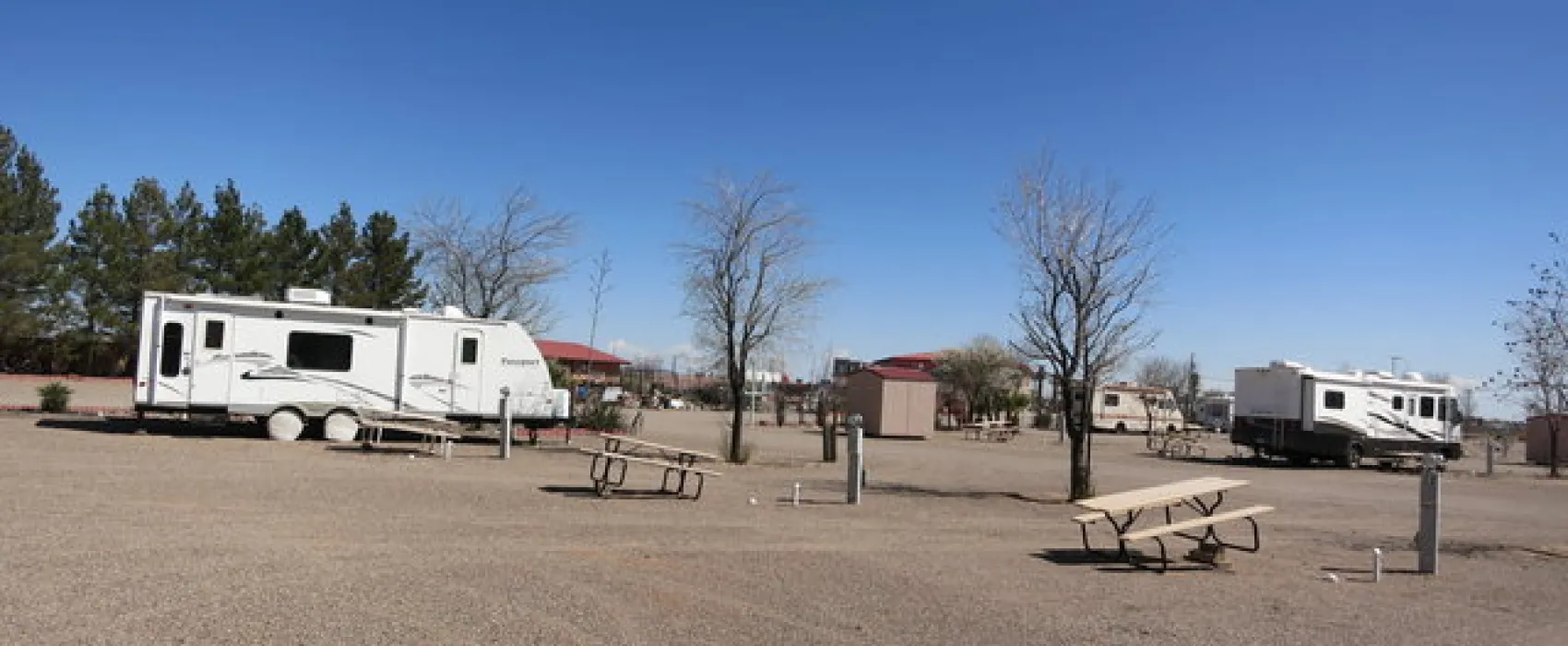 81 Palms Senior RV Resort