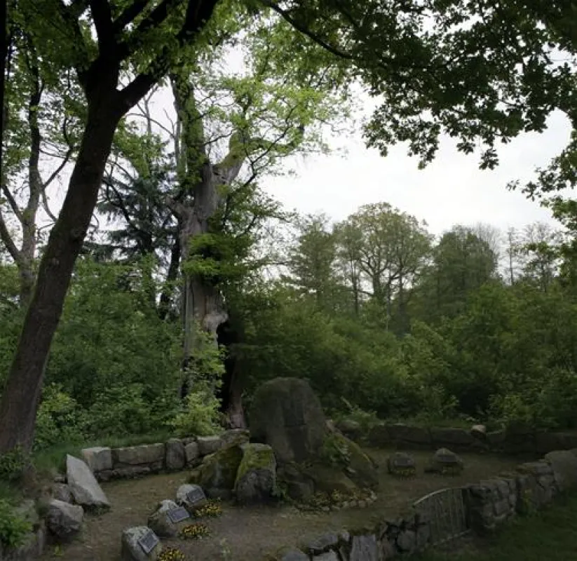 CAMPINGPLATZ HEIDENAU