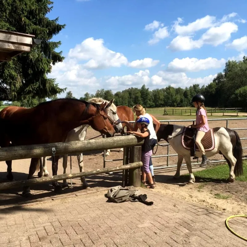 CAMPINGPLATZ HEIDENAU