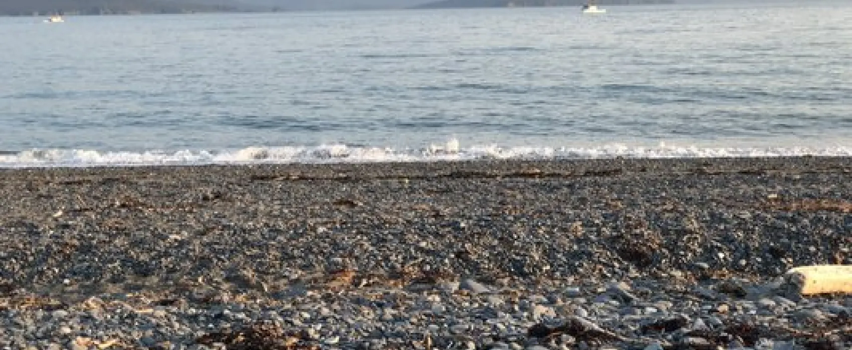 Homer Spit Campground