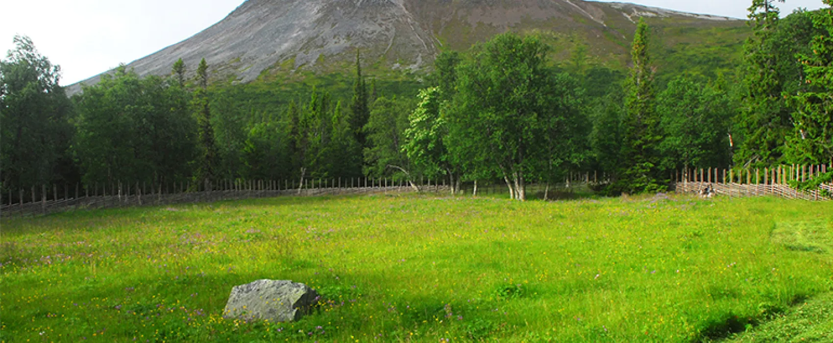 Nyvallens Fäbod, Sonfjällets nationalpark