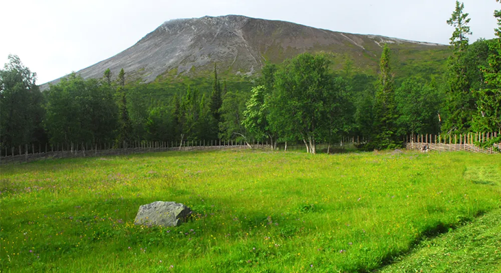Nyvallens Fäbod, Sonfjällets nationalpark