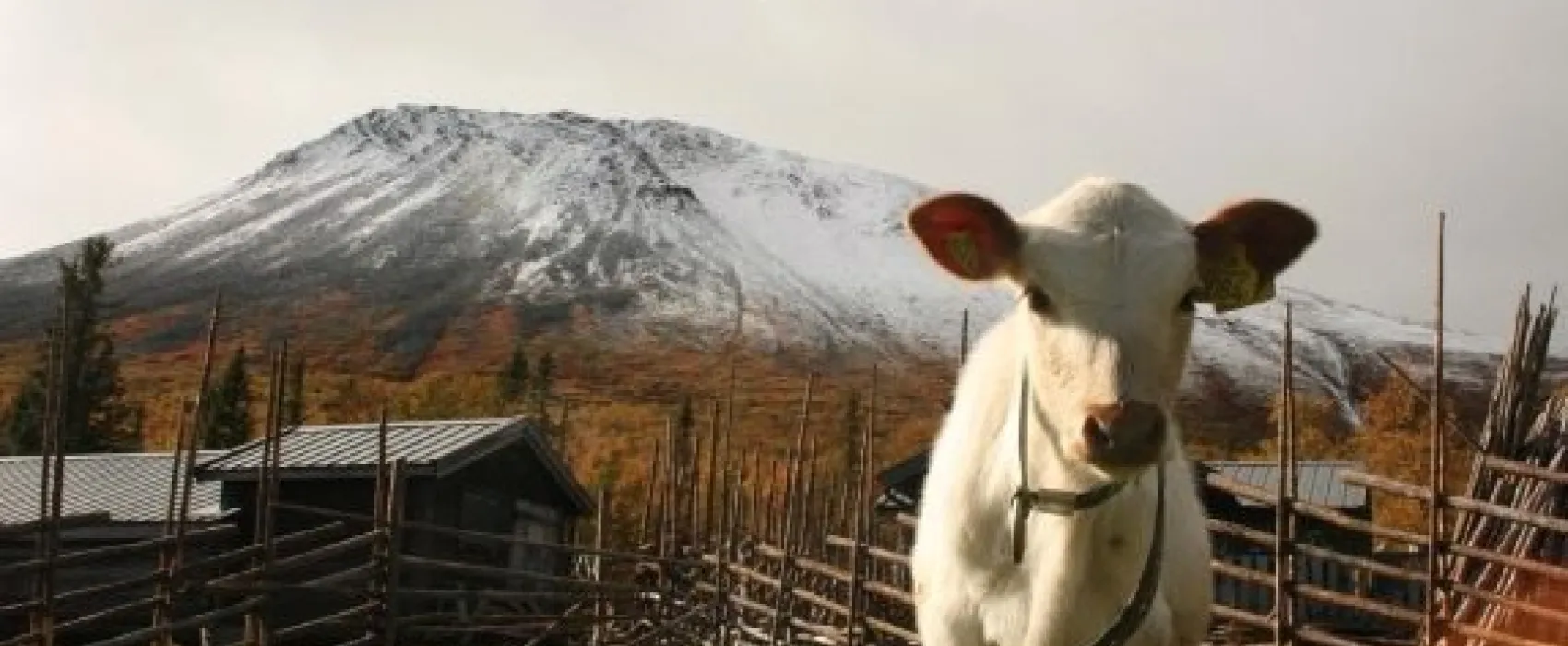 Nyvallens Fäbod, Sonfjällets nationalpark