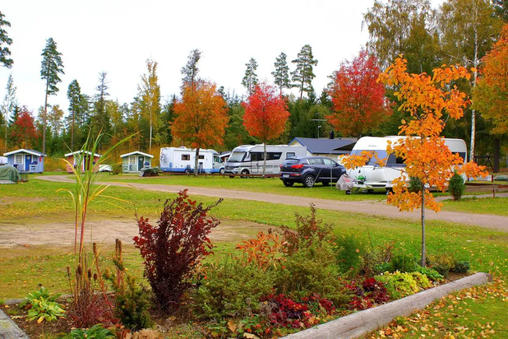 cornelis donkersteeg