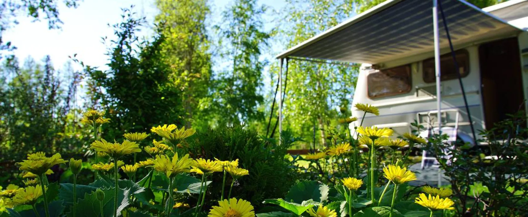 cornelis donkersteeg