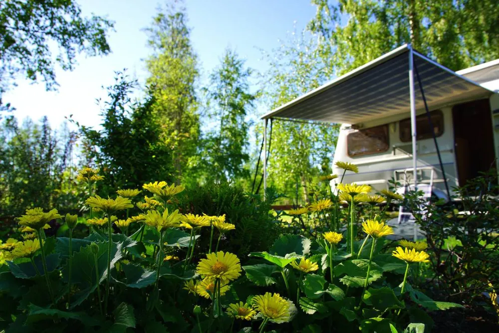 cornelis donkersteeg