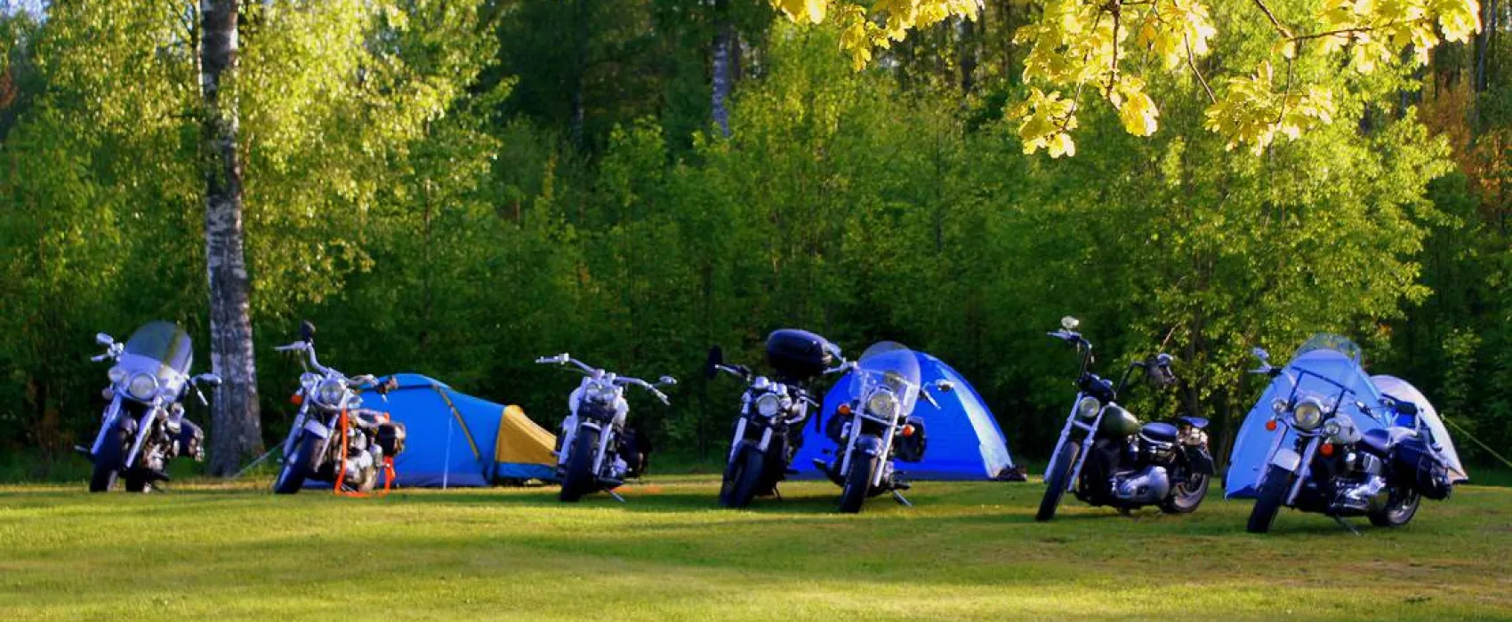 cornelis donkersteeg