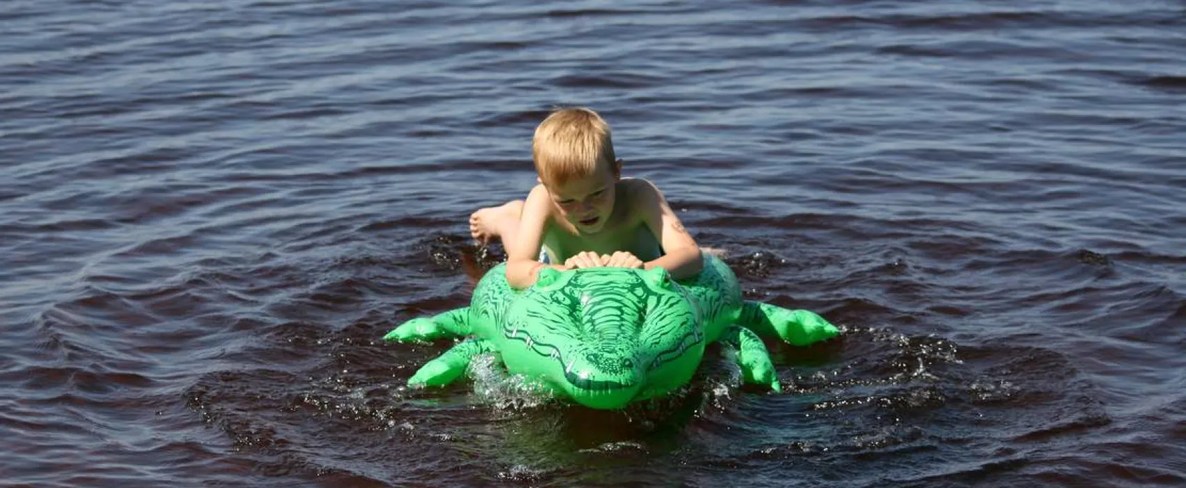 cornelis donkersteeg