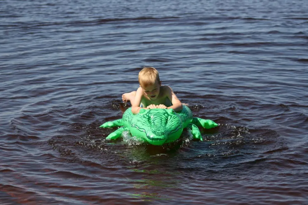 cornelis donkersteeg