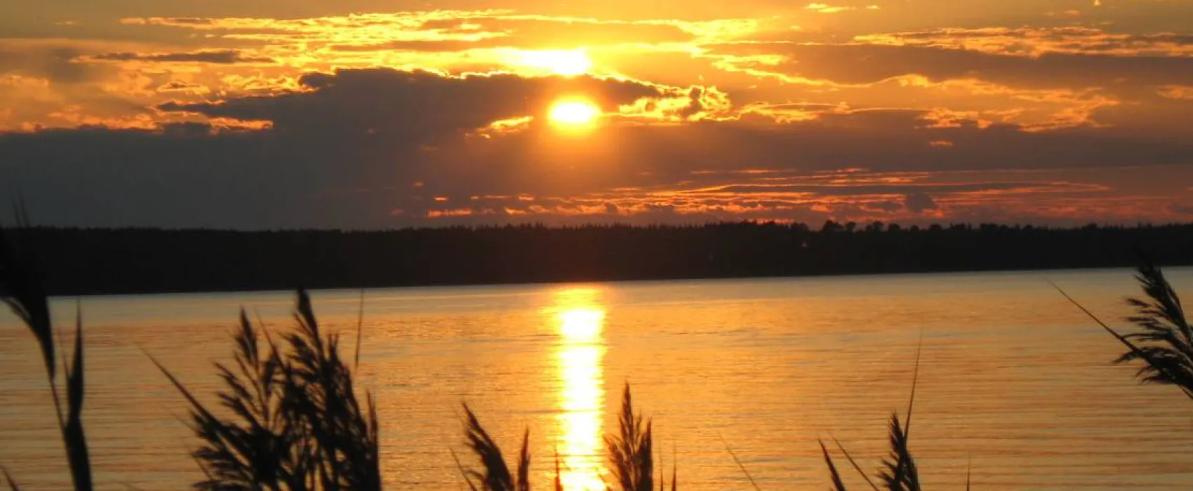 cornelis donkersteeg