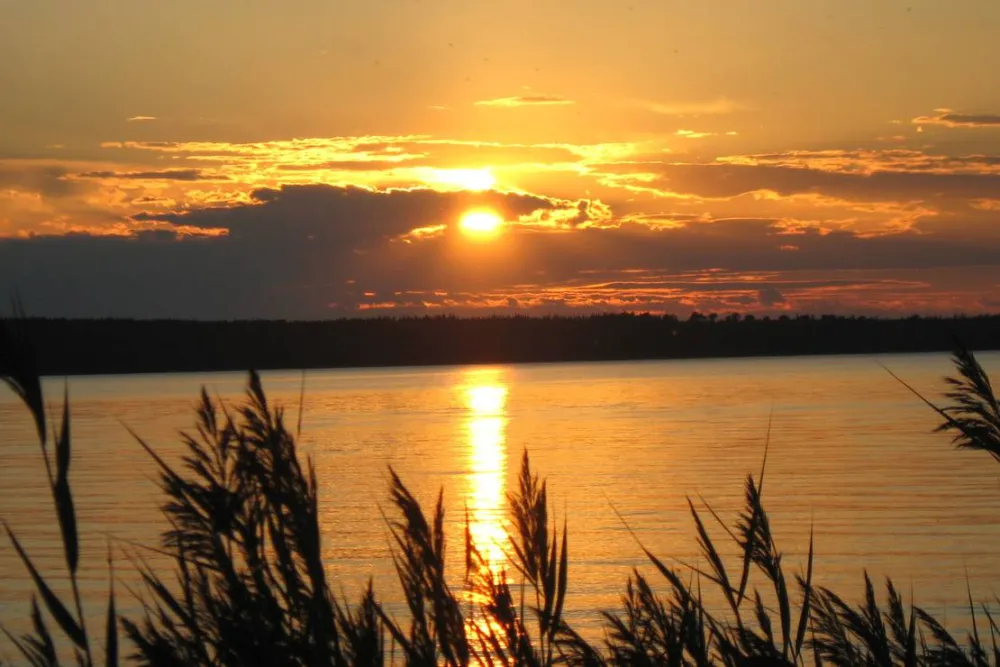 cornelis donkersteeg