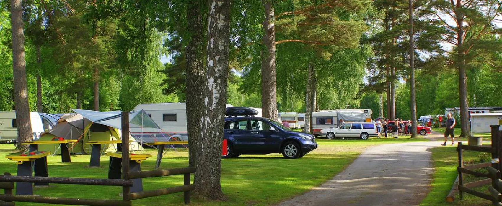 cornelis donkersteeg