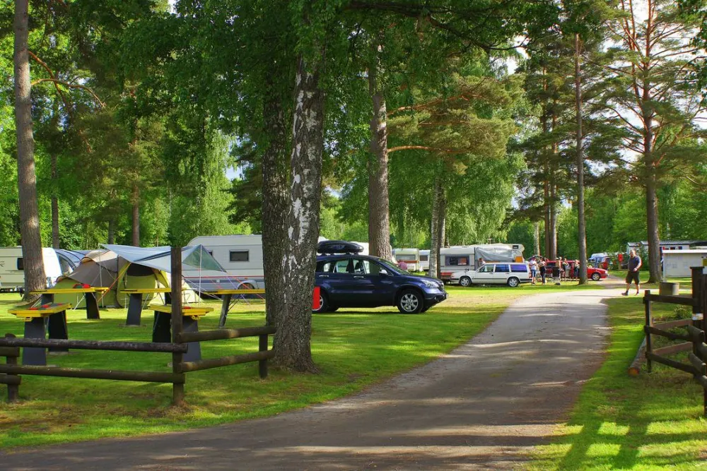 cornelis donkersteeg