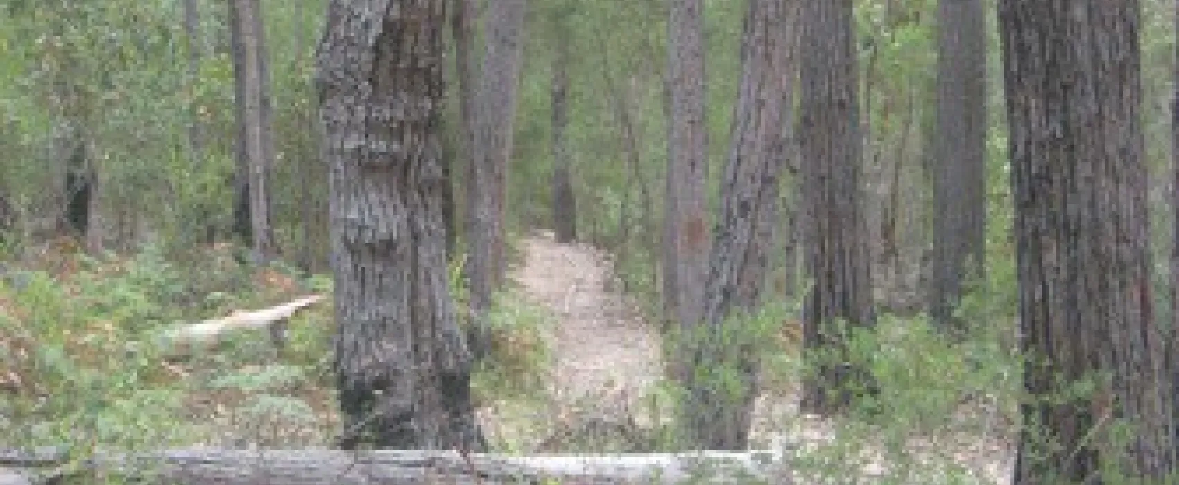 Shipwreck Creek Campground